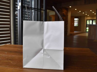 お渡し用紙手提袋 大