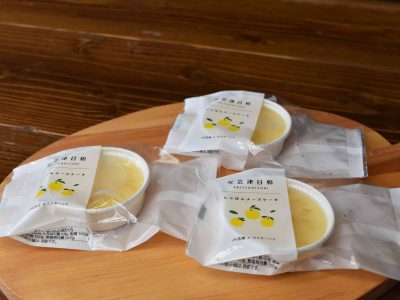 チーズケーキ用合掌GZ袋