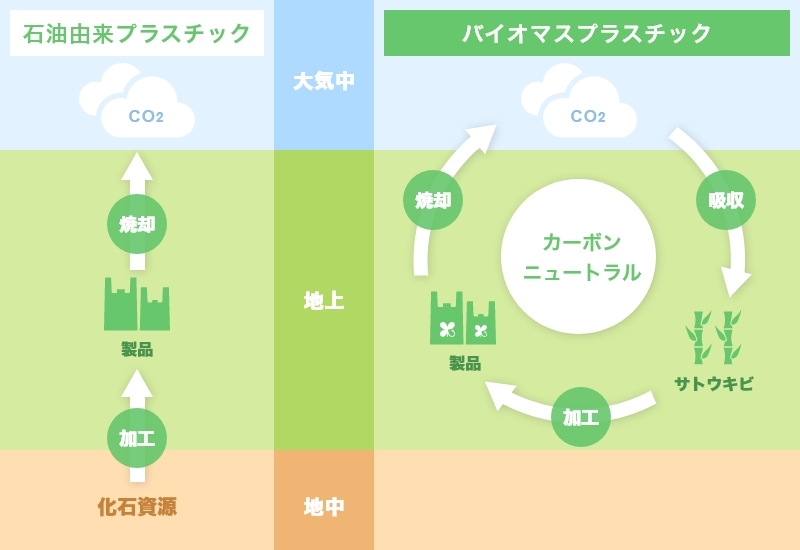 石油由来プラスチックバイオマスプラスチック